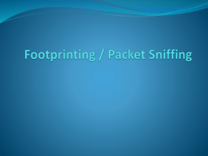 03-Footprinting - Rose