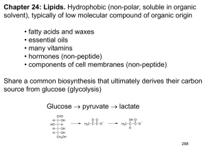 Fatty Acid Biosynthesis.