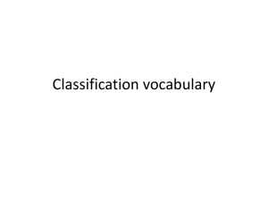 Classification vocabulary