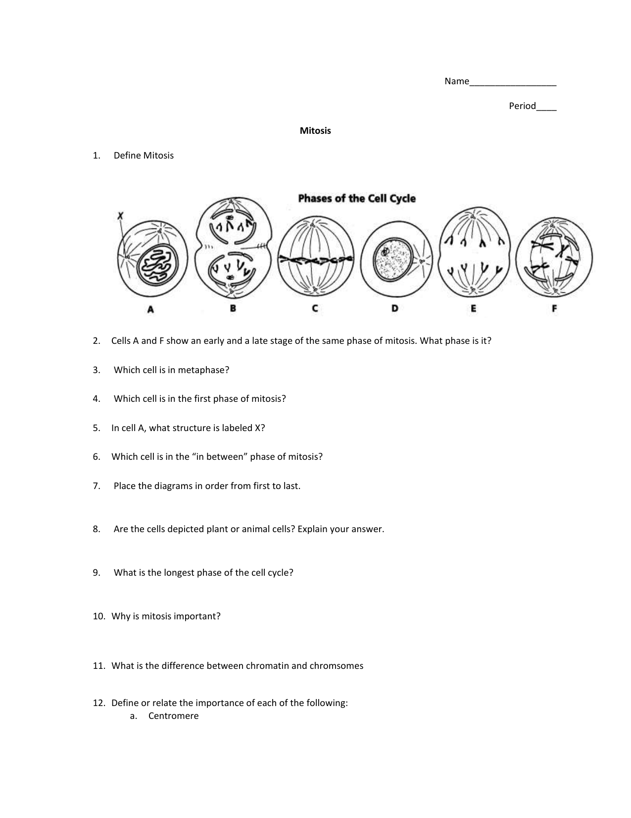 mitosis phases worksheet