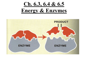 Enzymes, Like All Catalysts, Lower Activation Energy