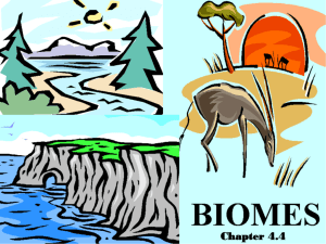 Notes on Biomes