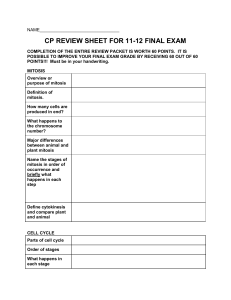 cp review sheet for 11