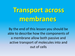 Cell transport and cell-to