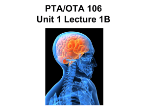 PTA/OTA 106 Unit 1 Lecture 1B Structural and Functional areas of