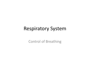 Control of Breathing