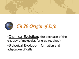 Ch 20 Origin of Life Chemical Evolution
