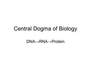 Central Dogma of Biology