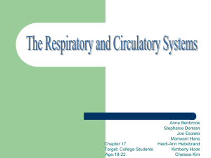 Chapter 17: The Respiratory and Circulatory Systems