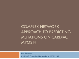 Cardiac Myosin Network