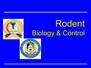Rodent Biology and Control