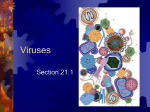 Viruses ppt 2013