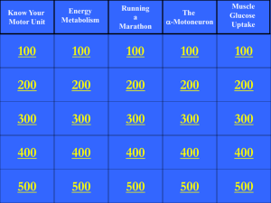 100 Know Your Motor Unit Energy Metabolism Running a Marathon