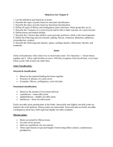 joints and synovial movements