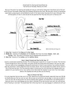 Hearing and Sound Final Check Up Study Guide