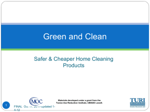Green & Clean workshop presentation