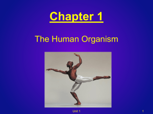 Chapter 1: The Human Organism