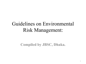 Guidelines on Environmental Risk Management