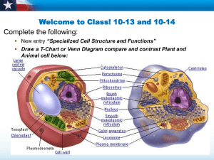 Cell Structures and Functions 10-12 and 10-13