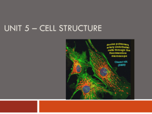 Unit 2.1 – Cell Structure