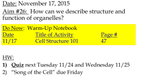 How can we describe structure and function of cell organelles?