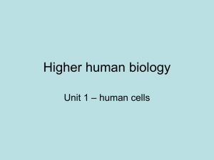 Higher Human Biology unit 1 section 1 HUMAN CELLS