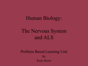 Human Biology: The Nervous System