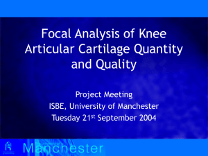 Focal Analysis of Knee Articular Cartilage Quantity and Quality