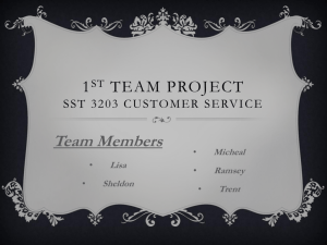 1st Team Project SST 3203 Customer Service