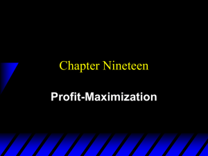 Chapter 19, Profit Maximization
