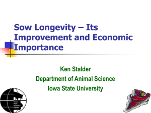Sow Longevity - the Iowa Pork Congress!