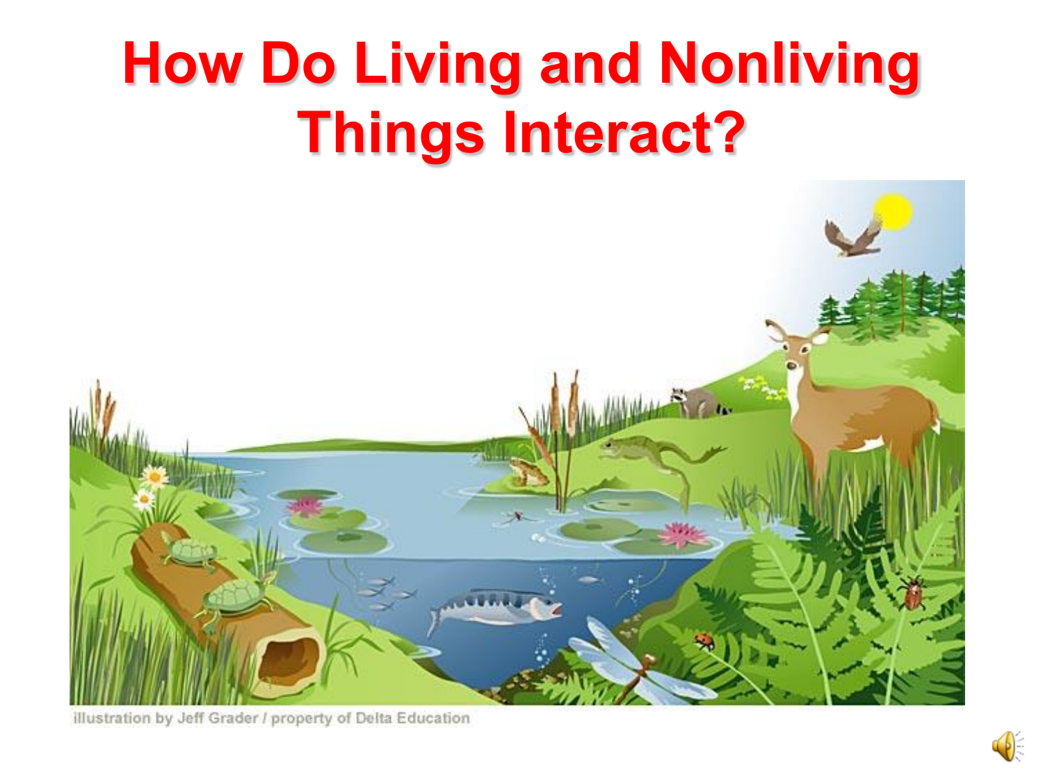 presentation of living and nonliving things