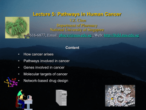 Pathways in Human Cancer - BIDD - National University of Singapore