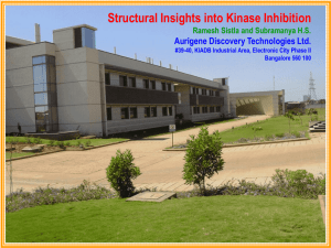 Structural Insights into Kinase Inhibition