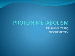 protein metabolism - MBBS Students Club
