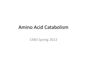 Amino Acid Catabolism - Chemistry Courses: About