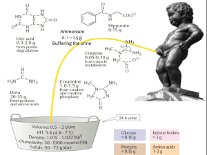 branched chain amino acid