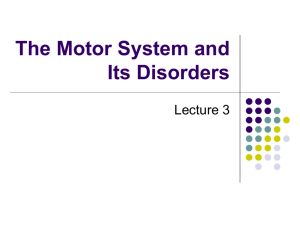 The Motor System and Its Disorders