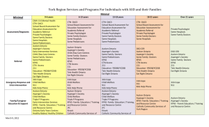 York Region Services and Programs Chart - Minimal