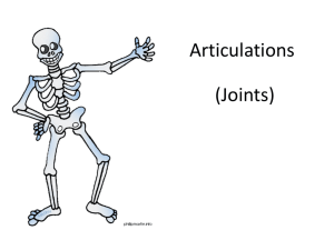 Articulations - functionalanatomy