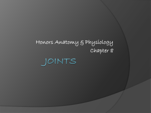 Joints Chapter 5
