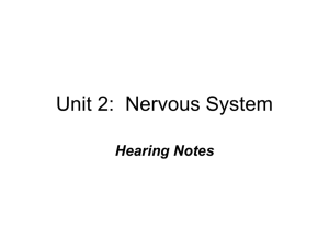 Unit 2: Nervous System