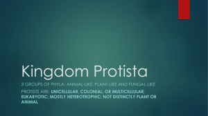 Kingdom Protista - Prairie Spirit Blogs