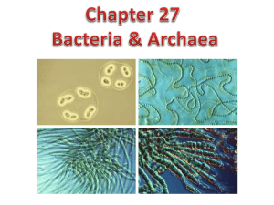 Chapter 27 Bacteria & Archaea How do