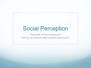 Social Perception Powerpoint