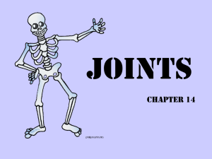 L4-Joints