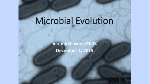 Microbial Evolution