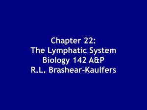 Chapter 22: The Lymphatic System
