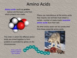 Amino Acids - csfcbiology
