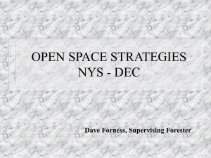 OPEN SPACE STRATEGIES